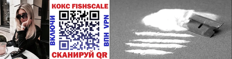 COCAIN Fish Scale  Купить где  Краснокамск 
