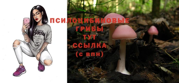 марки nbome Каменногорск