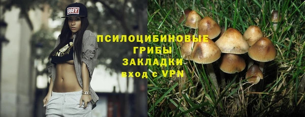 наркотики Каменка